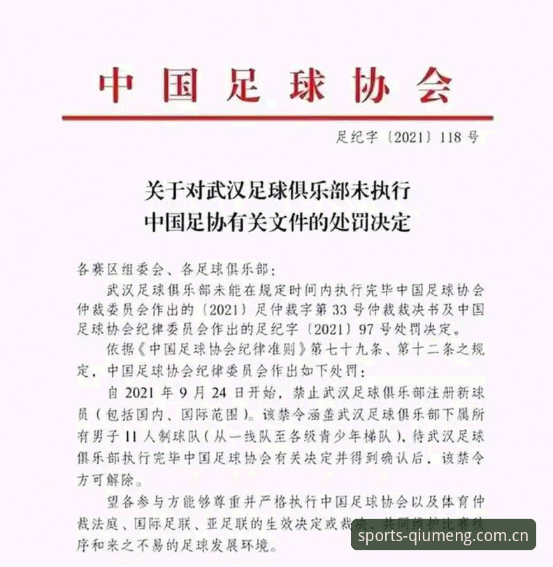中国足协第三批禁足名单全面解析：职业足球反腐风暴深度剖析